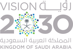 Saudi Vision 2030 Pedox KSA structural protection alignment